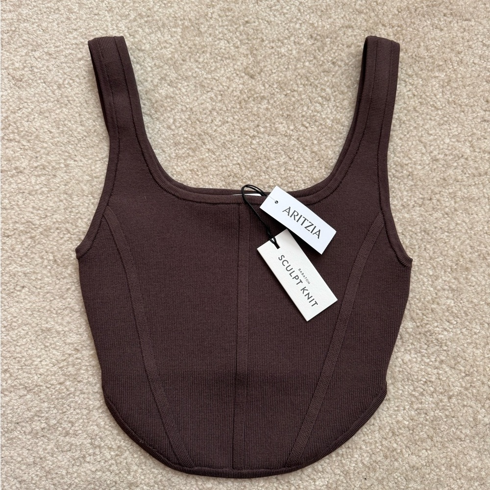 Aritzia Babaton Sculpt Knit Corset Top